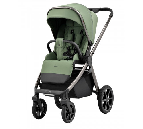 Коляска 2 в 1 Carrello Omega CRL-6530/1, Perfect Green