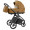 Коляска 2 в 1 Carrello Vector CRL-6551, Golden Beige Коляска 2 в 1 Carrello Vector CRL-6551, Golden Beige