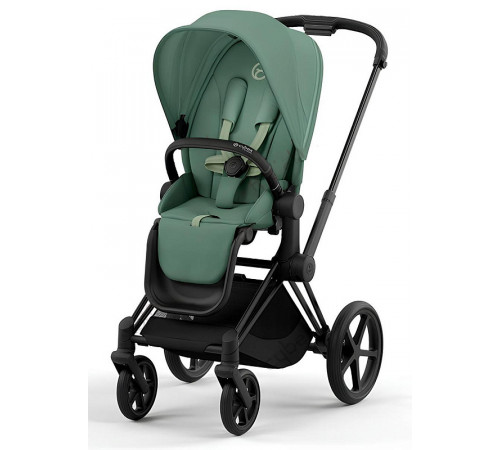 Коляска 2 в 1 Cybex Priam IV Leaf Green, шасси Rose Gold