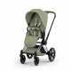 Коляска 2 в 1 Cybex Priam V Style, Sage Green шасси Chrome