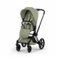 Коляска 2 в 1 Cybex Priam V Style, Sage Green шасси Matt Black