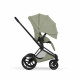Коляска 2 в 1 Cybex Priam V Style, Sage Green шасси Matt Black