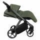 Коляска 2 в 1 Pituso Sole, Field Green