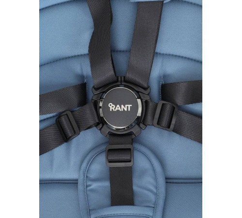 Коляска 2 в 1 Rant Falcon, Blue