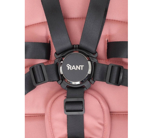 Коляска 2 в 1 Rant Falcon, Pink