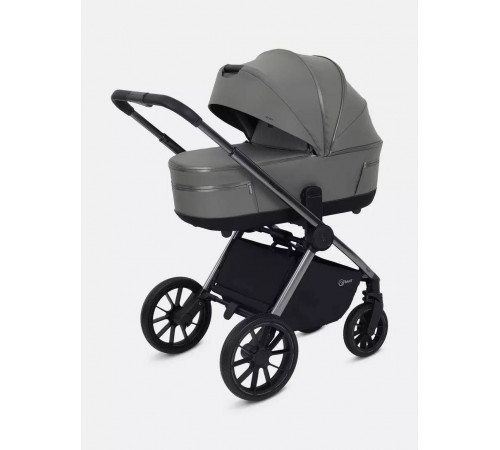 Коляска 2 в 1 Rant Falcon Thermo, Green