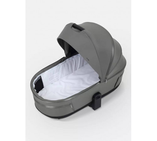 Коляска 2 в 1 Rant Falcon Thermo, Green