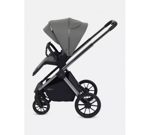 Коляска 2 в 1 Rant Falcon Thermo, Green