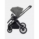 Коляска 2 в 1 Rant Falcon Thermo, Green