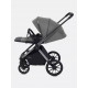 Коляска 2 в 1 Rant Falcon Thermo, Green