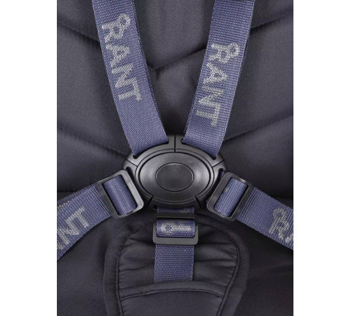 Коляска 2 в 1 Rant Flex 2025 RA076, Black