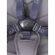Коляска 2 в 1 Rant Flex 2025 RA076, Graphite