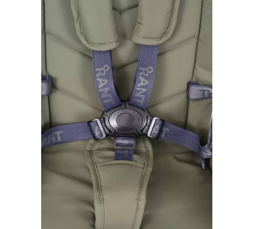 Коляска 2 в 1 Rant Flex 2025 RA076, Green