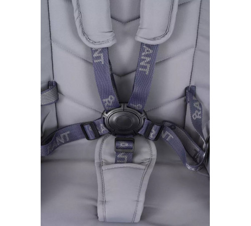 Коляска 2 в 1 Rant Flex 2025 RA076, Grey
