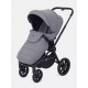 Коляска 2 в 1 Rant Flex 2025 RA076, Grey
