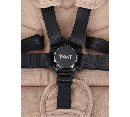 Коляска 2 в 1 Rant Flex Pro 2023, Beige