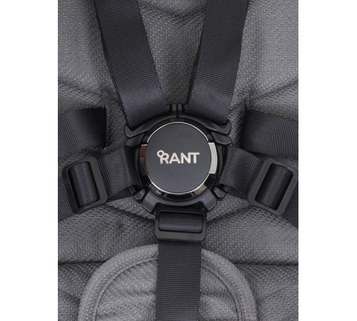 Коляска 3 в 1 Rant Flex Pro 2023, Grey
