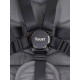 Коляска 3 в 1 Rant Flex Pro 2023, Grey