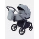 Коляска 2 в 1 Rant Flex Soft Therm, Forest Green