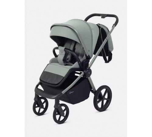 Коляска 2 в 1 Rant Flex Soft Therm, Forest Green