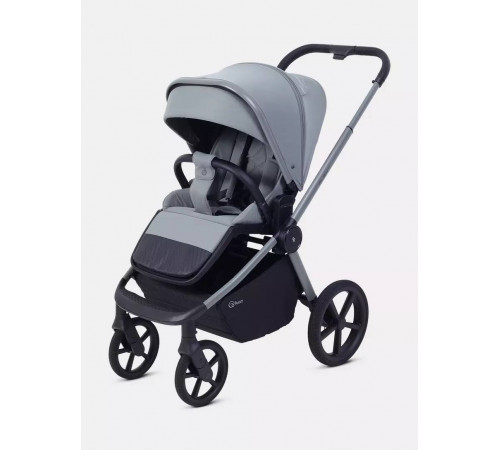 Коляска 2 в 1 Rant Flex Soft Therm, Forest Green