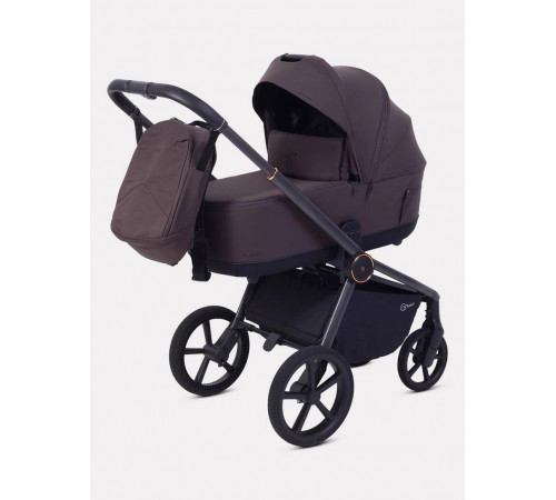 Коляска 2 в 1 Rant Flex Soft Therm, Shine Brown