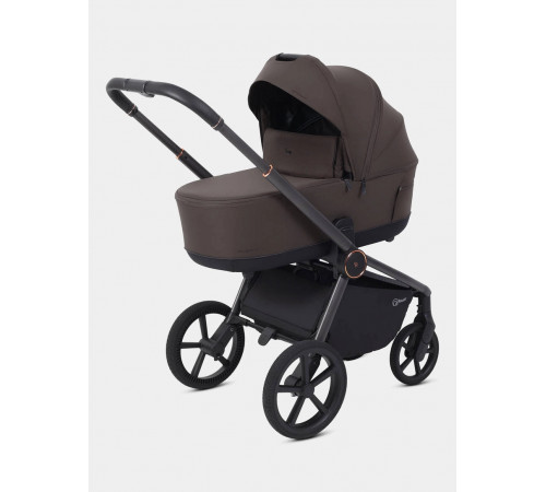 Коляска 2 в 1 Rant Flex Soft Therm, Shine Brown