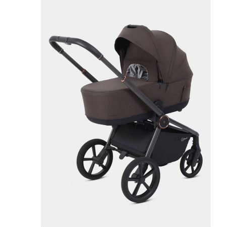 Коляска 2 в 1 Rant Flex Soft Therm, Shine Brown