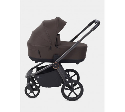 Коляска 2 в 1 Rant Flex Soft Therm, Shine Brown