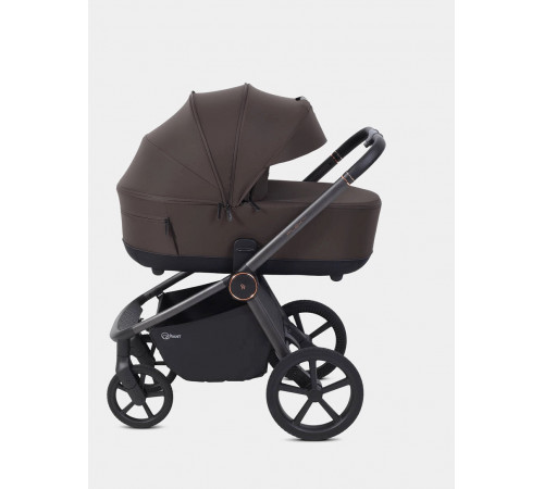 Коляска 2 в 1 Rant Flex Soft Therm, Shine Brown