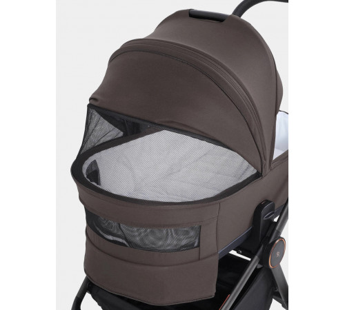 Коляска 2 в 1 Rant Flex Soft Therm, Shine Brown