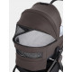 Коляска 2 в 1 Rant Flex Soft Therm, Shine Brown