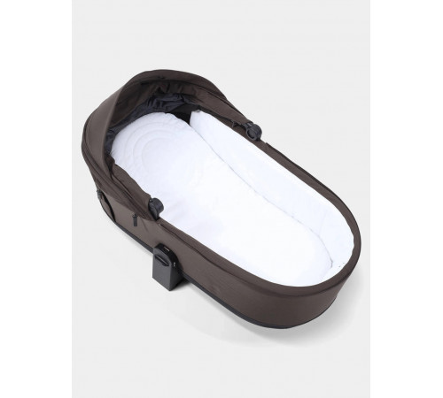 Коляска 2 в 1 Rant Flex Soft Therm, Shine Brown