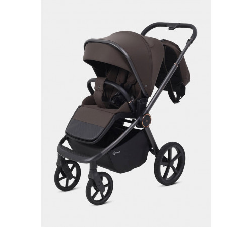 Коляска 2 в 1 Rant Flex Soft Therm, Shine Brown