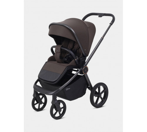 Коляска 2 в 1 Rant Flex Soft Therm, Shine Brown