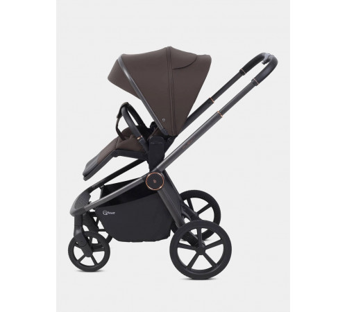 Коляска 2 в 1 Rant Flex Soft Therm, Shine Brown