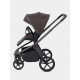 Коляска 2 в 1 Rant Flex Soft Therm, Shine Brown