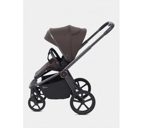 Коляска 2 в 1 Rant Flex Soft Therm, Shine Brown