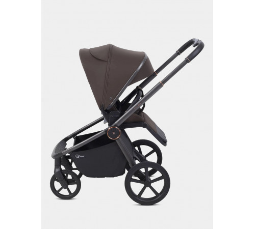 Коляска 2 в 1 Rant Flex Soft Therm, Shine Brown