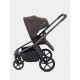 Коляска 2 в 1 Rant Flex Soft Therm, Shine Brown