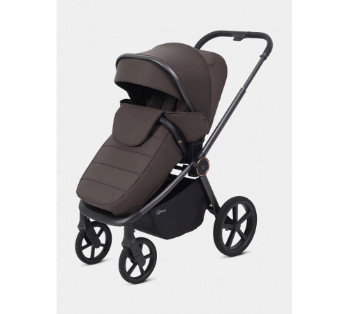 Коляска 2 в 1 Rant Flex Soft Therm, Shine Brown