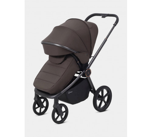 Коляска 2 в 1 Rant Flex Soft Therm, Shine Brown