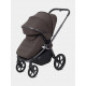 Коляска 2 в 1 Rant Flex Soft Therm, Shine Brown
