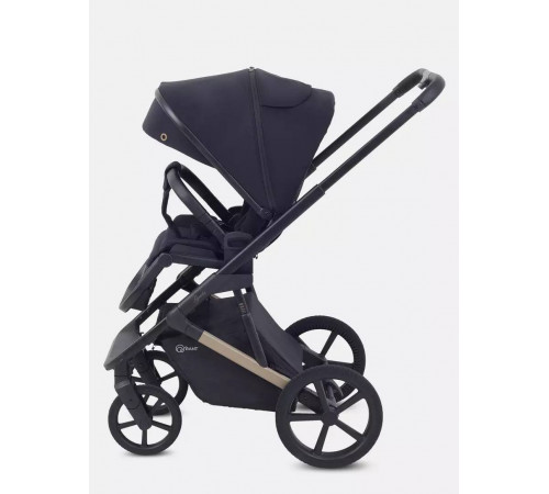 Коляска 2 в 1 Rant Garda, Black
