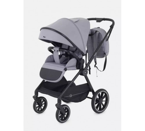 Коляска 2 в 1 Rant Moss, Classic Grey