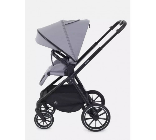 Коляска 2 в 1 Rant Moss, Classic Grey
