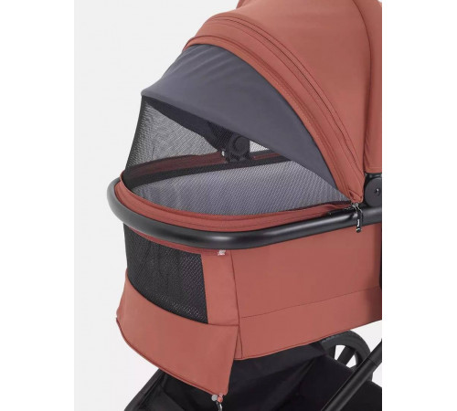 Коляска 2 в 1 Rant Moss, Maroon Brown