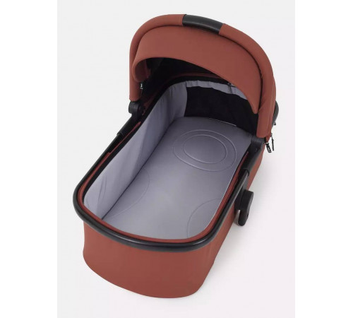 Коляска 2 в 1 Rant Moss, Maroon Brown