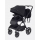 Коляска 2 в 1 Rant Moss, Midnight Black