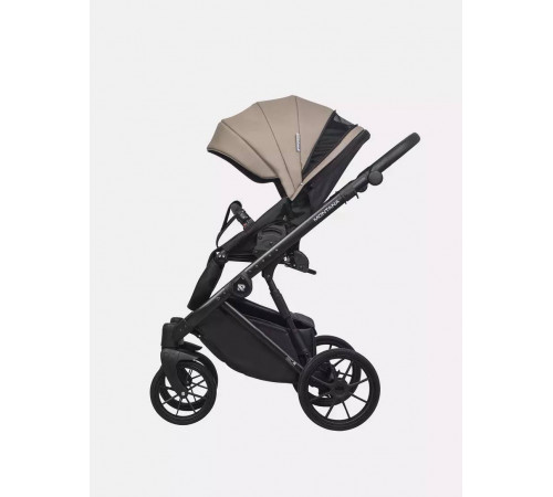 Коляска 2 в 1 Riko Basic Montana Ecco, 22 - Beige (Бежевый)